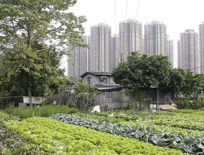 MaPoPo Village in Hongkong