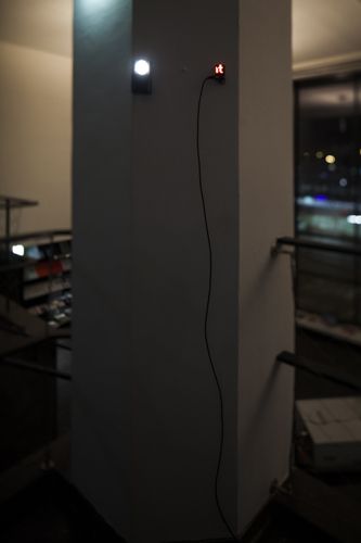 Blick in die Ausstellung "Rens Veltman: Infra und Ultra oder Colonise the Dark"