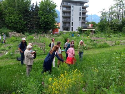 "Wenn die Stengel Blüten tragen …"