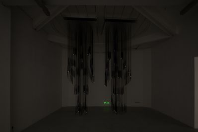 Blick in die Ausstellung "Rens Veltman: Infra und Ultra oder Colonise the Dark"