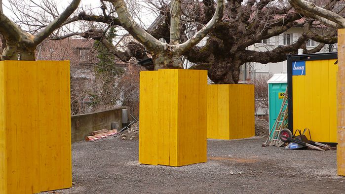 „Baum-Schutz“ 2013, Chur (CH) Archiv Serie BST/02/090313, © Manfred Alois Mayr