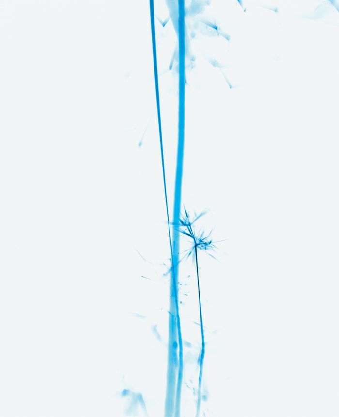 Carsten Nicolai: Funken