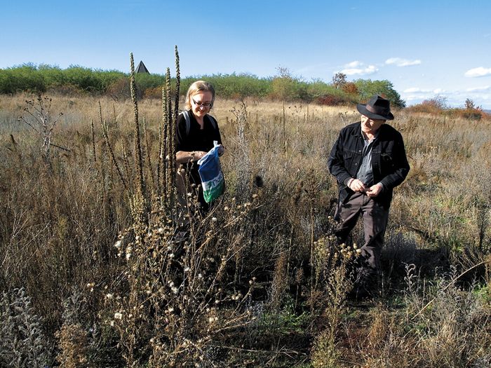Lois und Franziska Weinberger, Feldarbeit Waldviertel, 2006