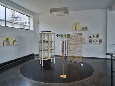 Blick in die Ausstellung "Von Gärten, Pflanzen und Menschen" im aut in Innsbruck