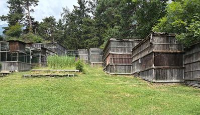 Greifvogelpark Telfes