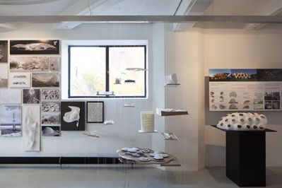 Blick in die Ausstellung "Potenziale 2" im aut