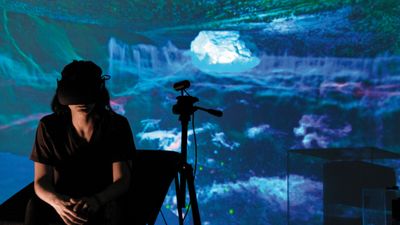 Head in a Cloud, Installationsansicht AIL, Wien 2018