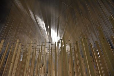 Eröffnungstag "Krater Fajan: Viel TamTam um Nichts" im aut